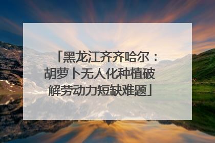 黑龙江齐齐哈尔：胡萝卜无人化种植破解劳动力短缺难题